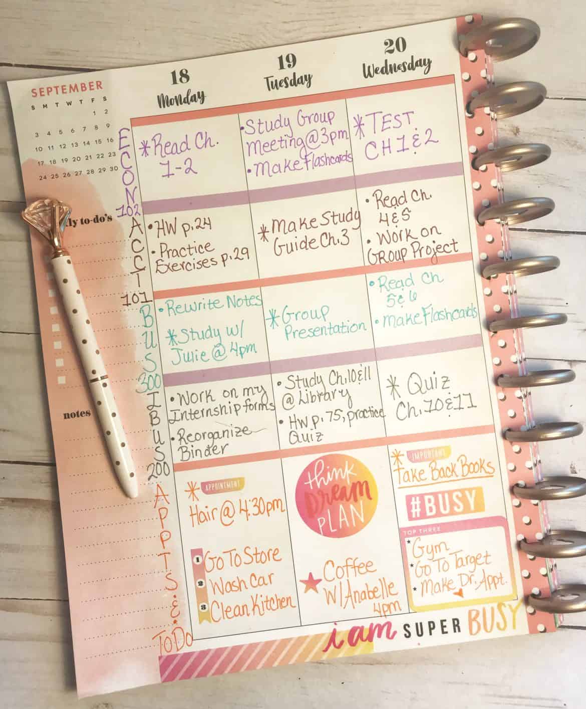 Genius Planner Layout Ideas To Be Crazy Organized At College & School