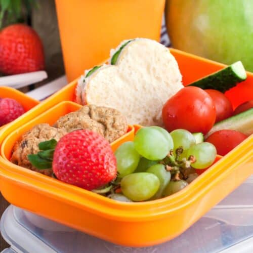 120 School Lunch Ideas For Kids