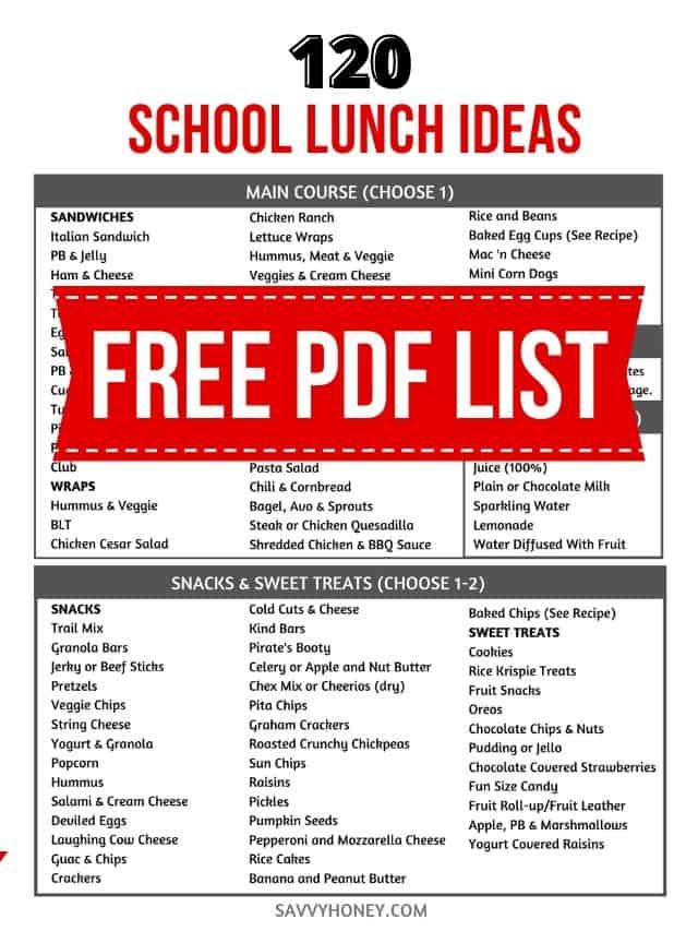 120 School Lunch Ideas For Kids - Savvy Honey